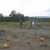 Pumpkin picking Pumpkin picking