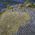 Work from the perimeter of the sunflower head in toward the center. Work from the perimeter of the sunflower head in toward the center.