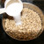 Add the seeds to 2 quarts of water and add 1/2 cup salt. Allow the seeds to soak overnight. Add the seeds to 2 quarts of water and add 1/2 cup salt. Allow the seeds to soak overnight.
