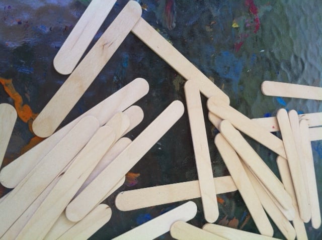popsicle sticks - these are inexpensive and have many uses! 