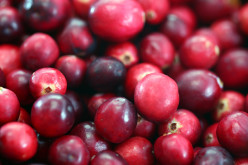 Cranberries and Health Benefits