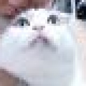 datingconversion profile image
