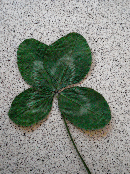 Four-leaf Clover