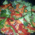 The veggies The veggies
