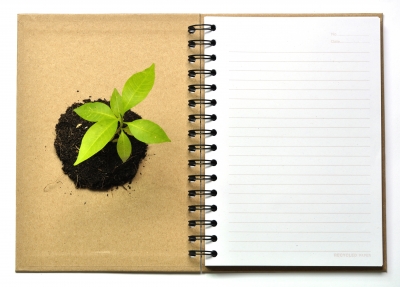Sustainability education makes the topic known.