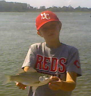 Hybrid Striped Bass continue to make early Fall fishing on the Ohio River a treat!