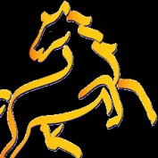 Stallion! profile image