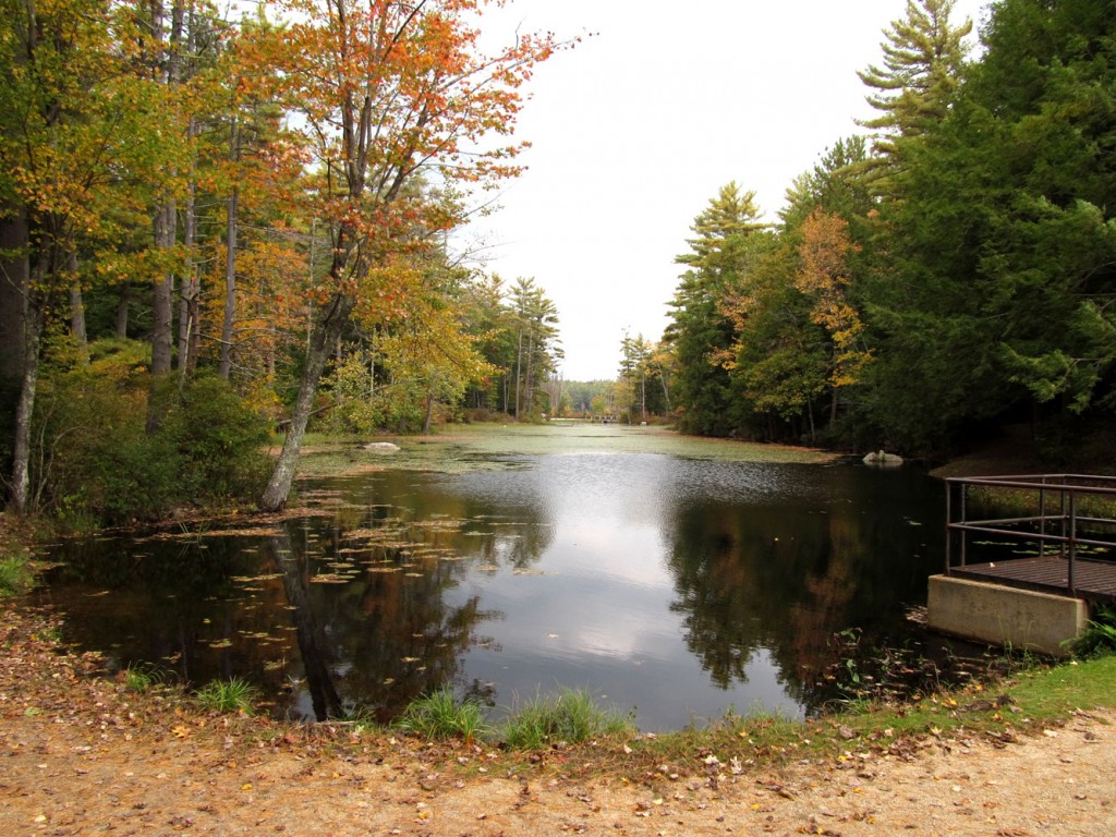 Pawtuckaway State Park, Nottingham, NH