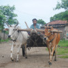 kkumar profile image