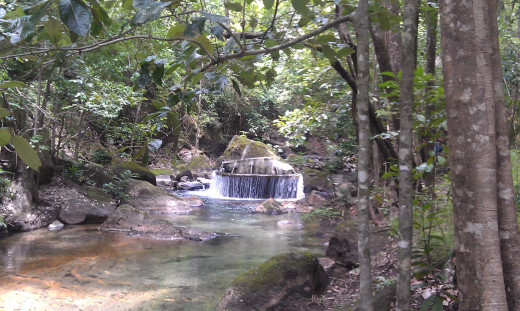 Rio Perdido, where you can bathe in the natural hot spring after a hike down from the resort.