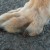 Front nails showing normal wear Front nails showing normal wear