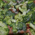 Broccoli salad Broccoli salad