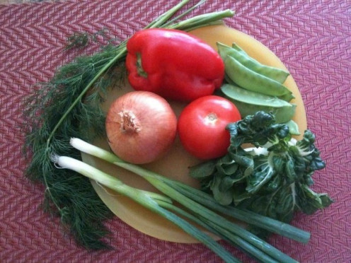 Vegetable ingredients - Spanish onion, scallion, red bell pepper, tomato, snow peas, bok choy, fresh dill