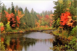 http://s4.hubimg.com/u/7248687_f248.jpg