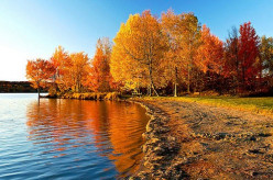 http://s1.hubimg.com/u/7248700_f248.jpg