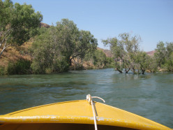 http://s2.hubimg.com/u/7248737_f248.jpg