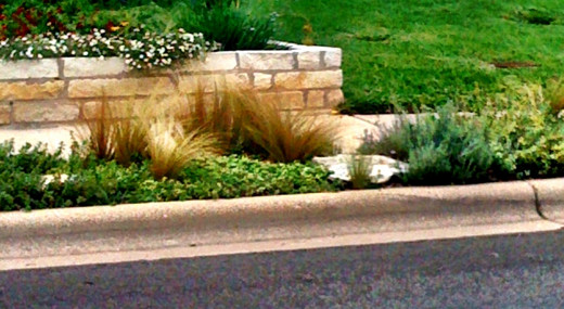 Greenery mixed with stone