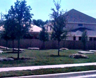 Another view of the neighborhood green space with rocks placed in intervals across the green area.