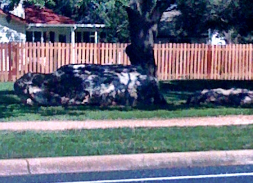 Boulders big enough to rest on while recuperating from a run.