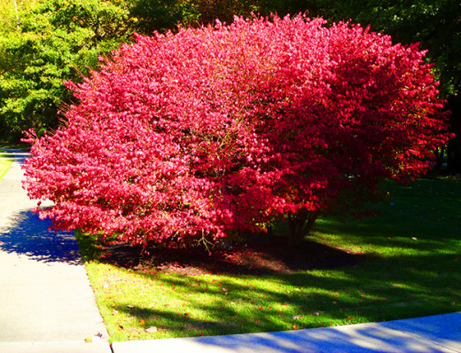 And what would you call this color?