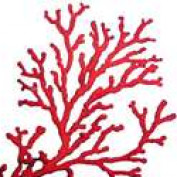 orchidisland profile image