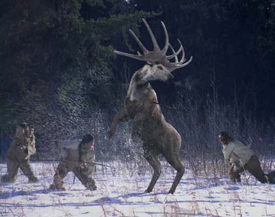 These humans used both stealth and strategy to bring down a large male Megaloceros.