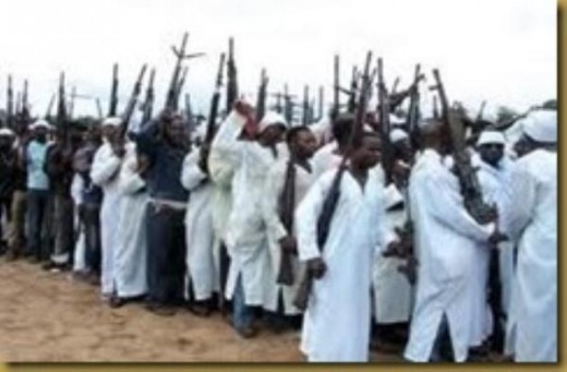 Members of Boko Hara,