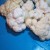 cauliflower cauliflower