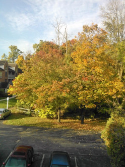 http://s3.hubimg.com/u/7265378_f248.jpg