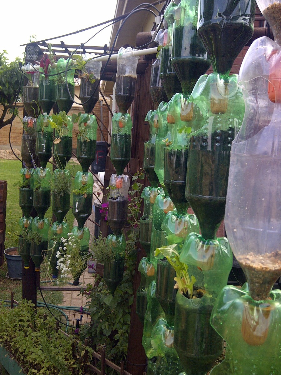 Build Your Own Hanging Garden of Recycled Plastic Bottles