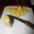 Chopping fresh gingerroot. Chopping fresh gingerroot.