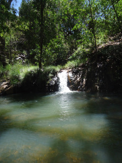 http://s3.hubimg.com/u/7268454_f248.jpg