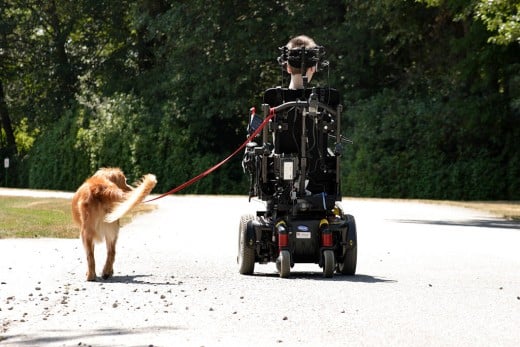 Service dogs perform all kinds of functions for people with disabilities.