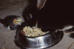 https://usercontent1.hubstatic.com/7270804_f260.jpg