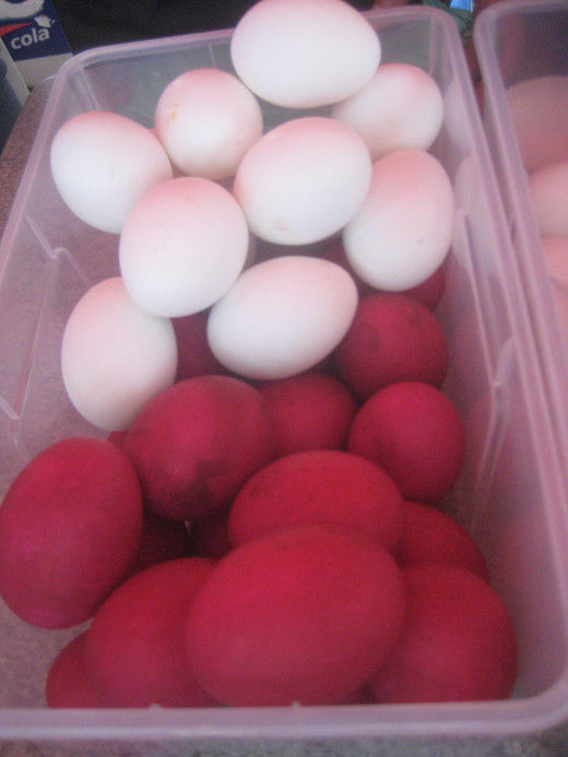 Salted and fresh eggs