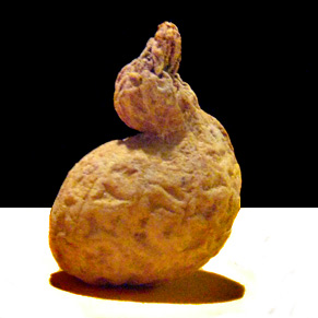 An example of a random single serving site.