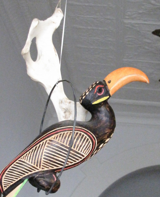 Yellowbilled Horbill
