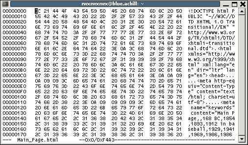 An example of code in a hex editor.