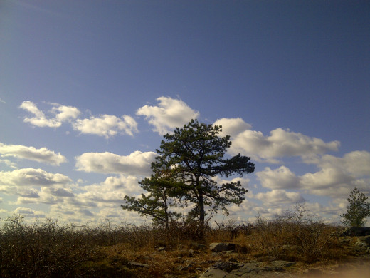 Enjoy expansive views from Buck Hill