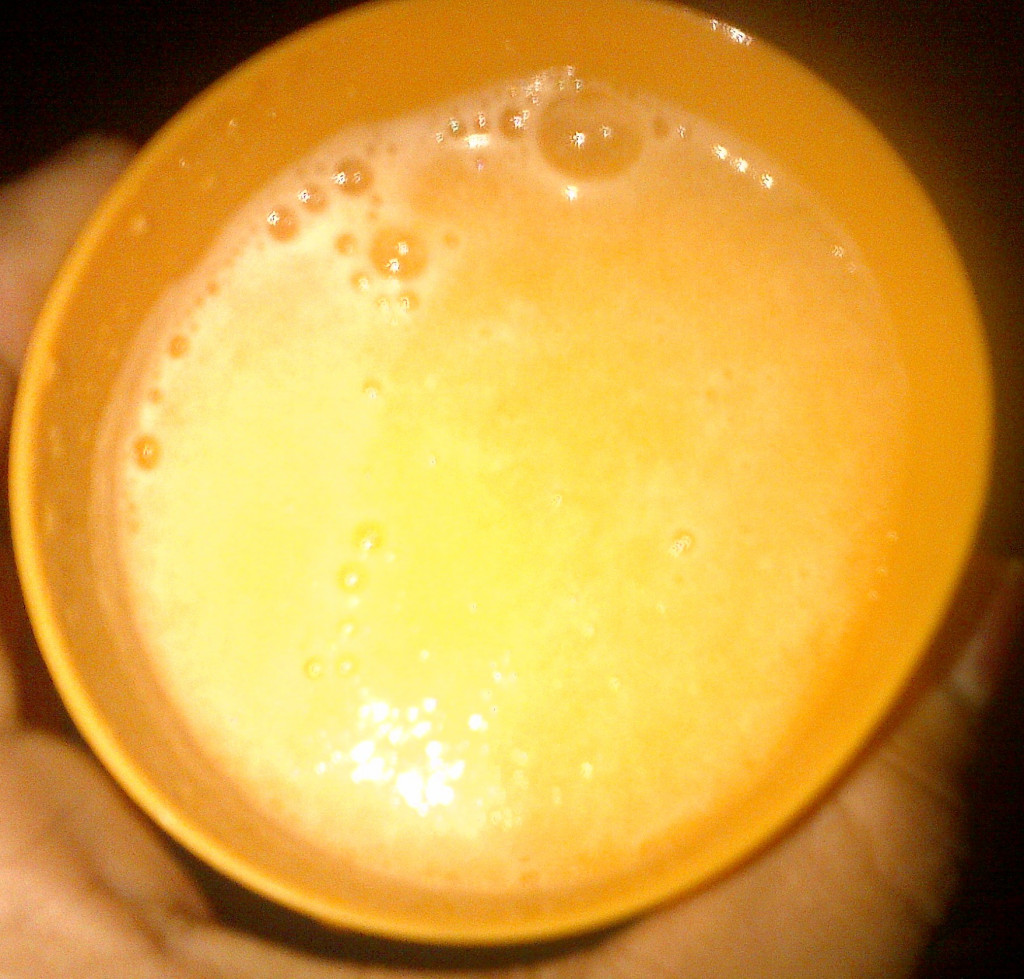 How to make Muskmelon Juice / Mulam Palam Juice Recipe HubPages