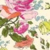 Emmarie profile image