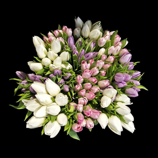 This bouquet of tulips, photographed by Jebulon on February 13, 2011, would be an excellent gift when invited to dinner for a special occasion.