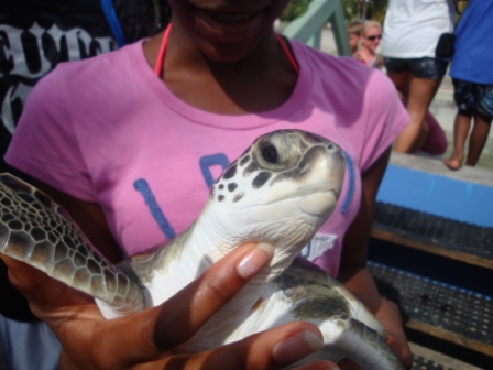 My daughter holding one of the hatchlings.