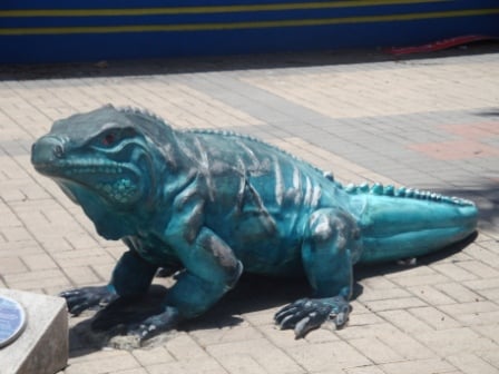 A scupture of Iguana Lizard in the middle of Cayman Island Shopping District.  Image Is Peoperty of ComfortB. Use image by permission only.