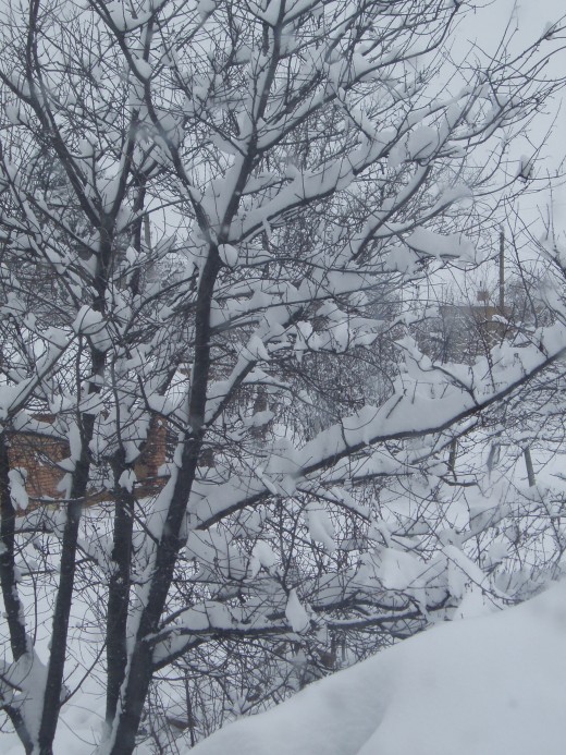 Snowy days