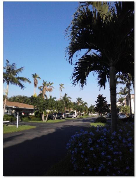 Snug Harbor Gardens, Boynton Beach, Fl. (Winter, 2011)