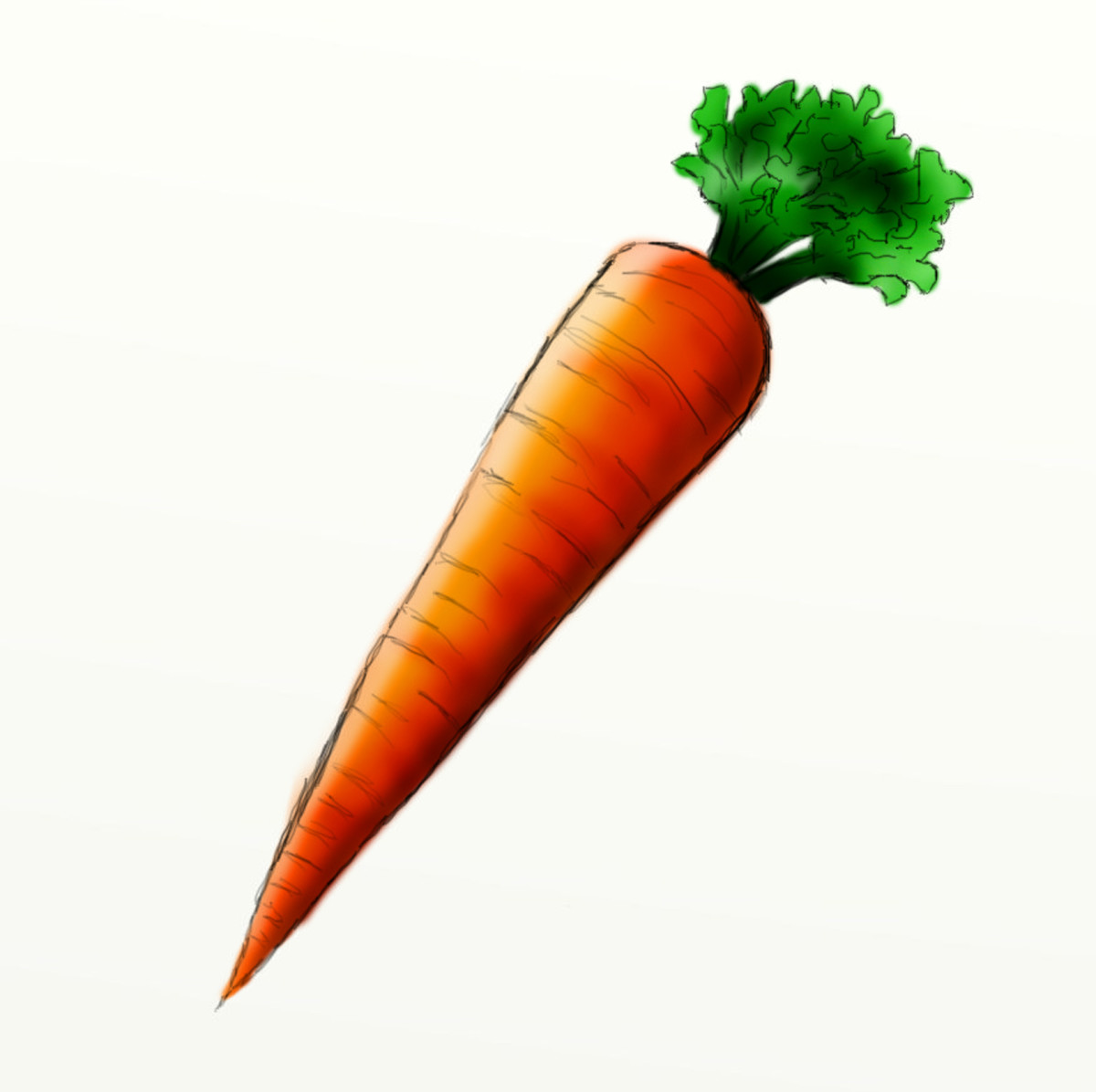 How to draw a carrot HubPages