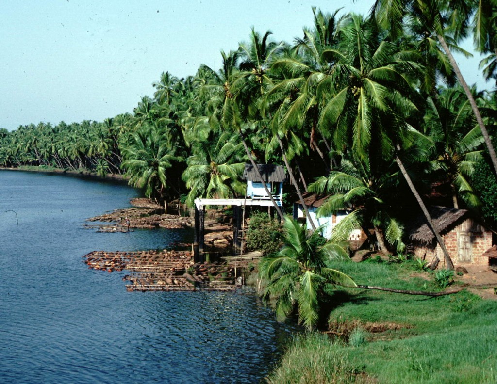 Kerala, The land of CoconutsA Study HubPages