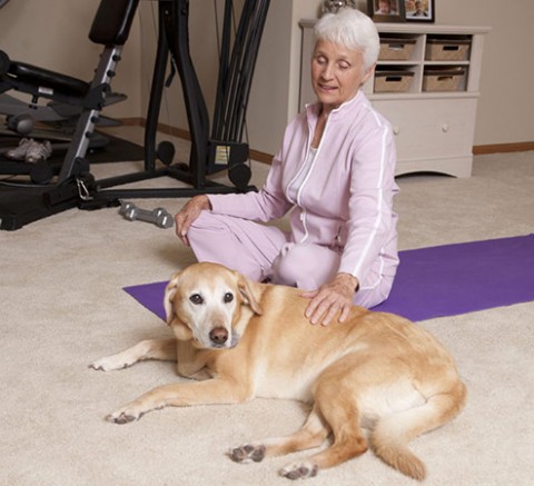 A study in the Journal of American Geriatrics indicates that seniors living on their own who have pets tend to have better physical health and mental well-being than those who don’t.