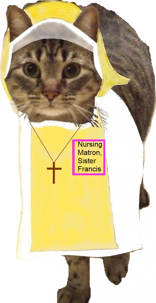 A mock-up of a tabby cat as a nursing nun.